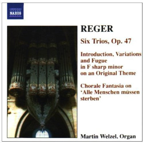 Martin Welzel - Organ Works 6 [CD]