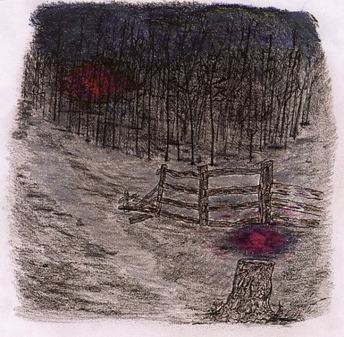 Telepathe - Farewell Forest [CD]