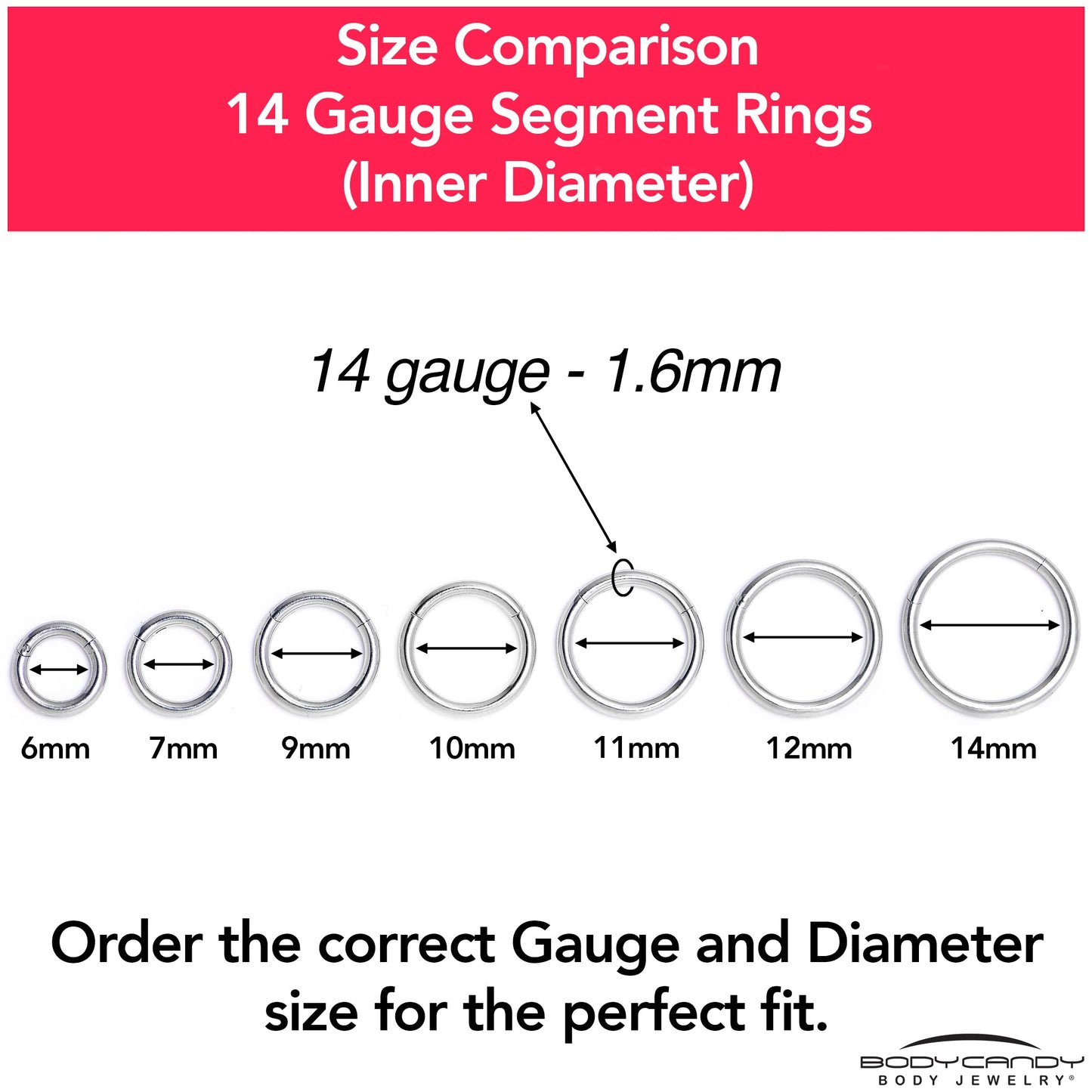 14G 1/2 316L Surgical Steel Precision Hinged Segment Hoop