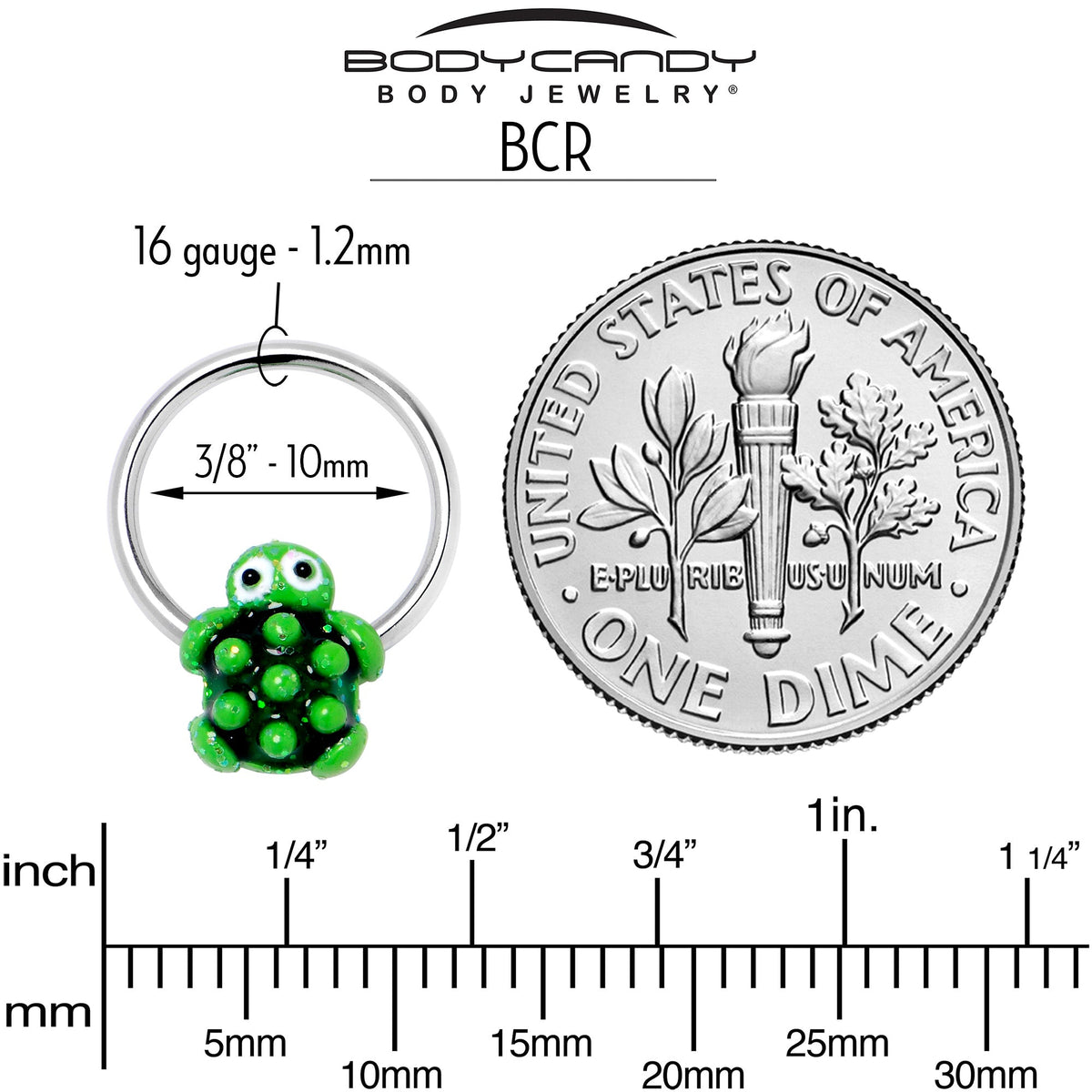 16G 3/8 Texture Turtle BCR Captive Ring