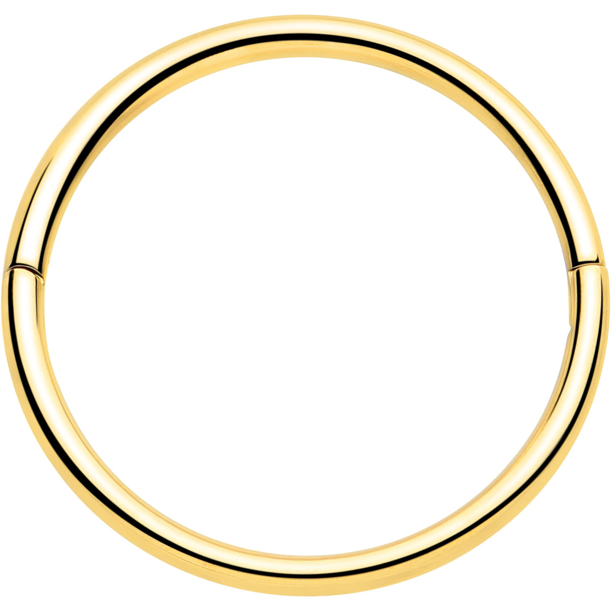 20G Implant Grade Titanium Half Closure Hinged Segment Ring