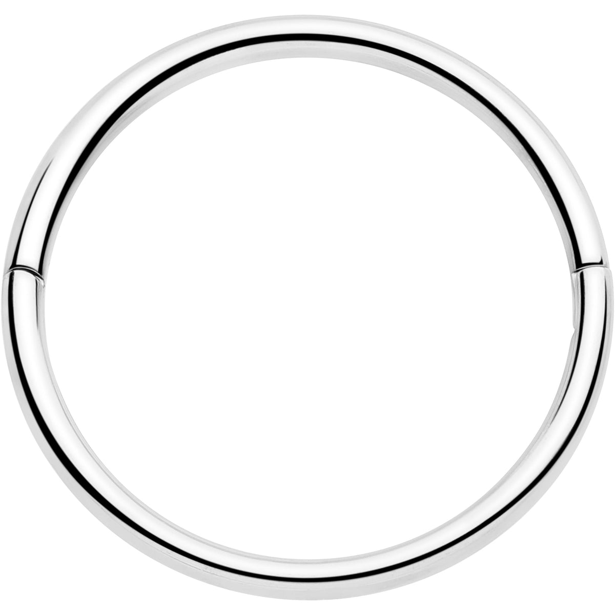 20G Implant Grade Titanium Half Closure Hinged Segment Ring