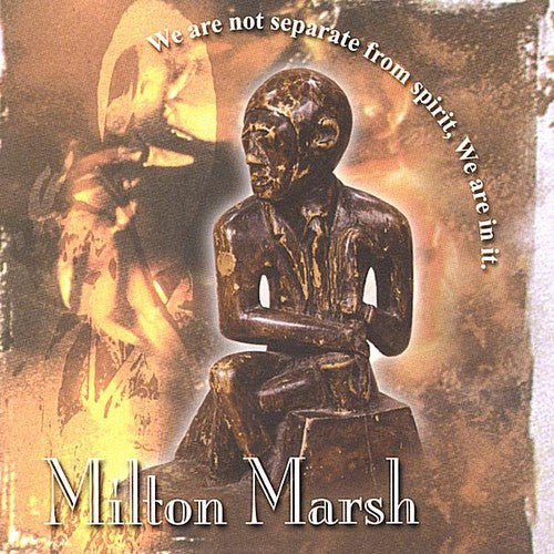 Milton Marsh - We Are Not Separate from Spirit We Are in It. [CD]