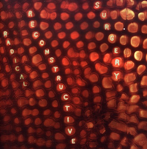 Scotty Hard Radical Reconstructive Surgery - Scotty Hard's Radical Reconstructive Surgery - John Medeski and Matthew Shipp [CD]