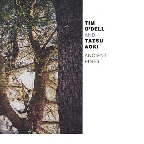 Odell/Aoki - Ancient Pines [CD]