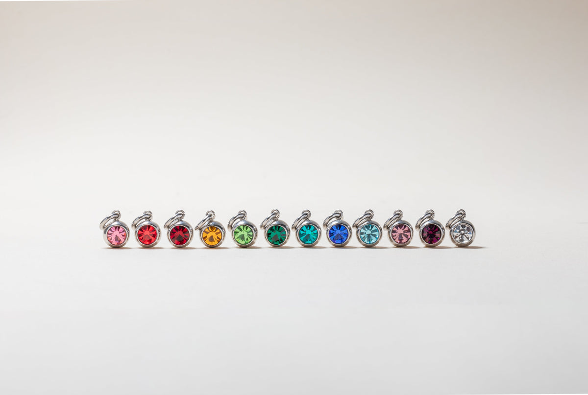February Birthstone Interchangeable Charm