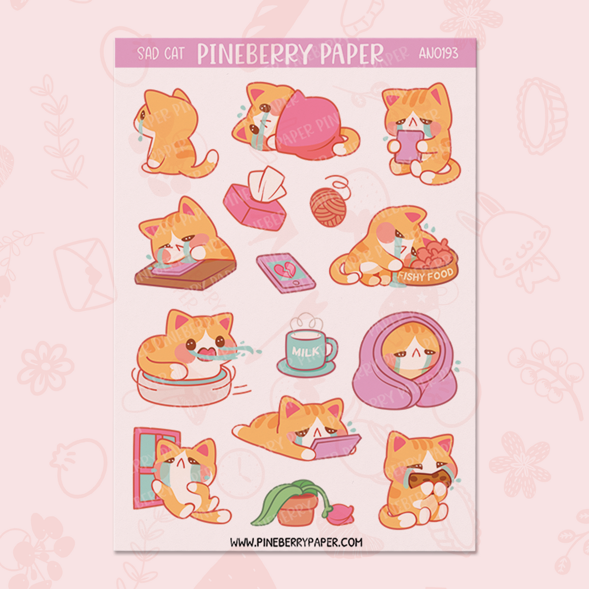 Sad Cat | AN0193
