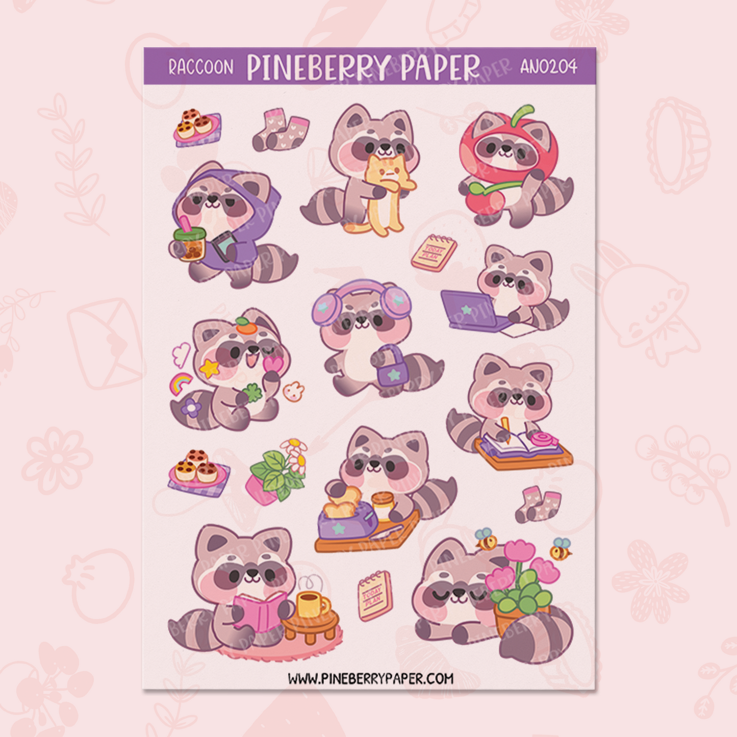 Raccoon | AN0204