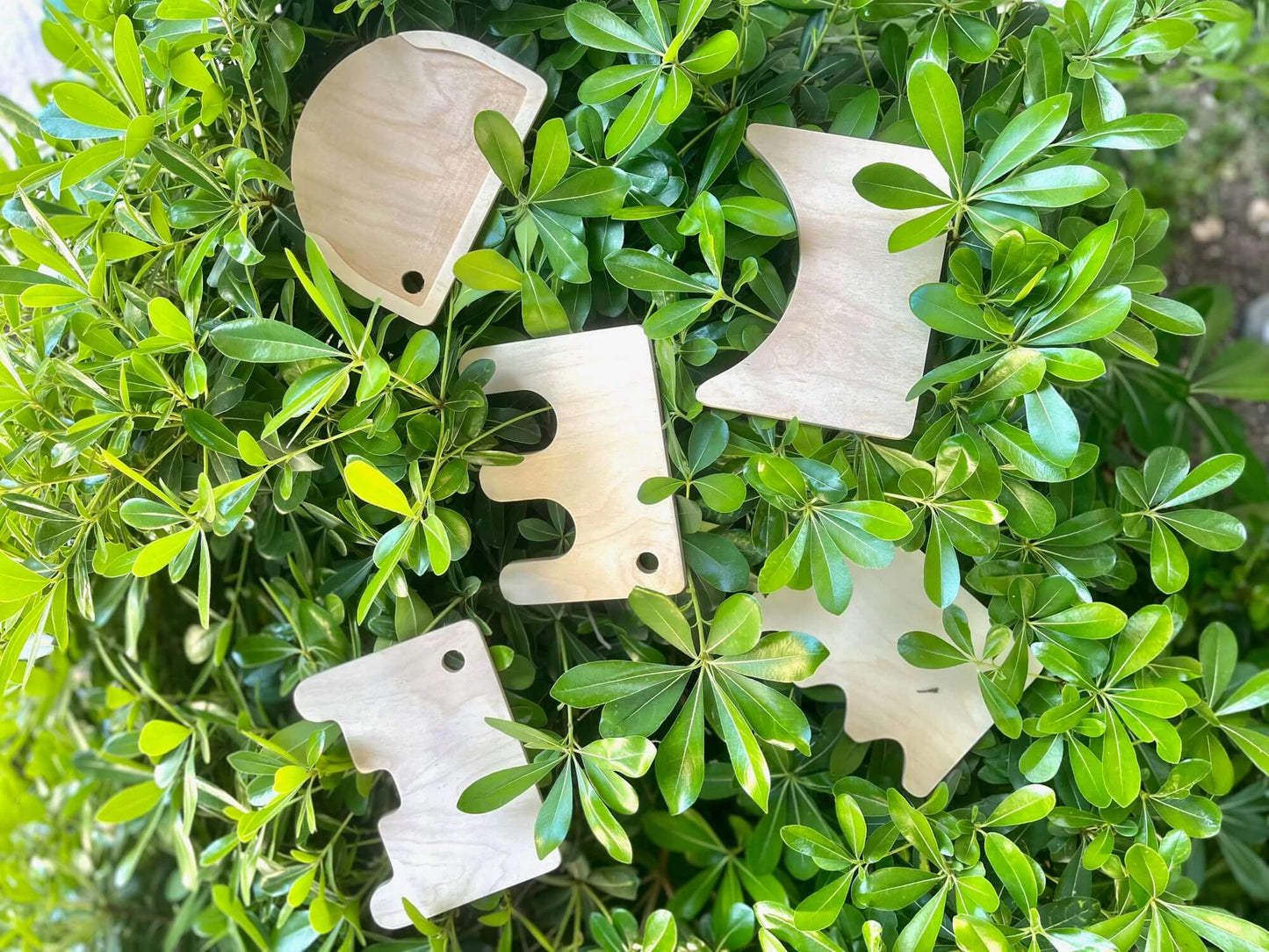 Wooden Shovel Set