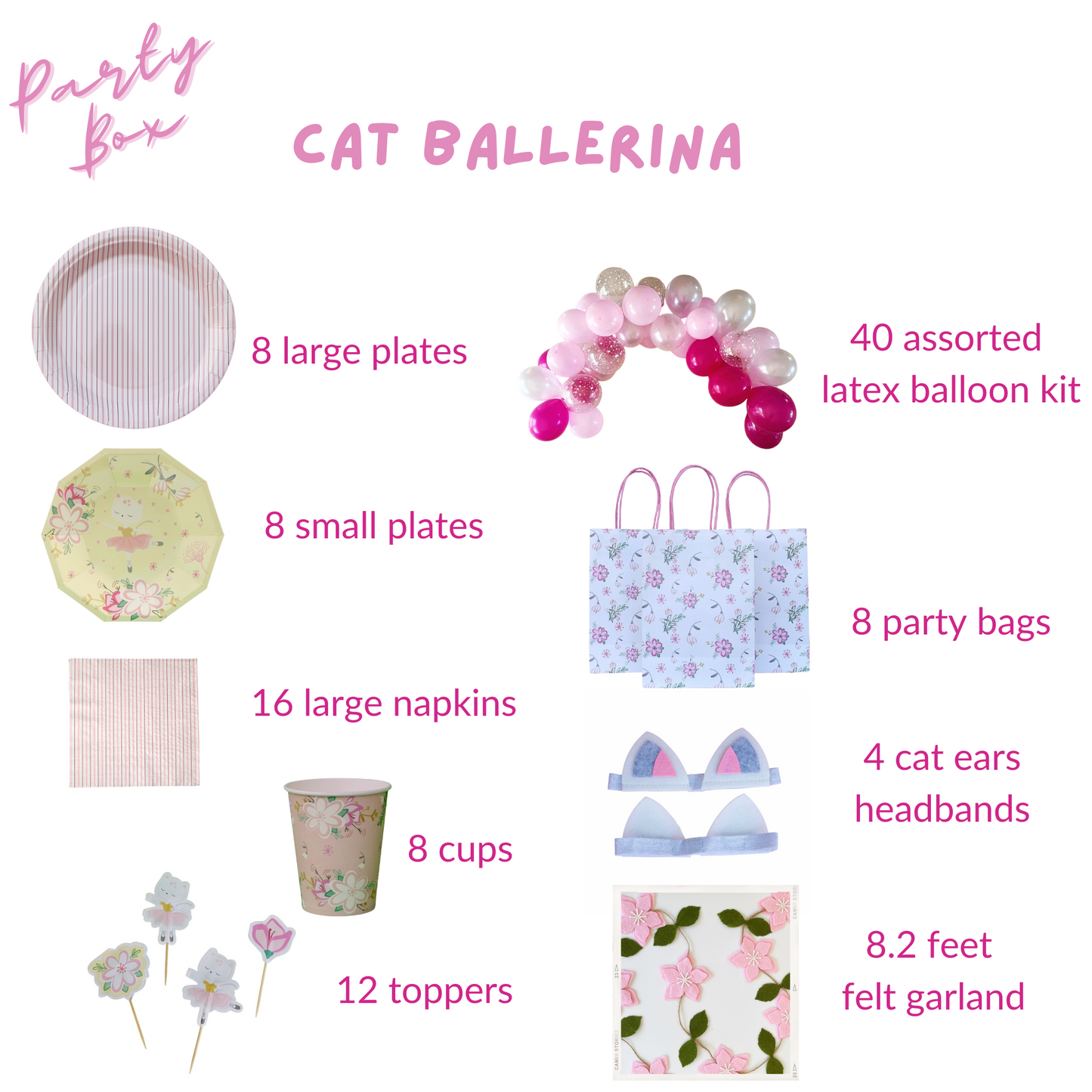 Cat Ballerina Party Supplies in a Box
