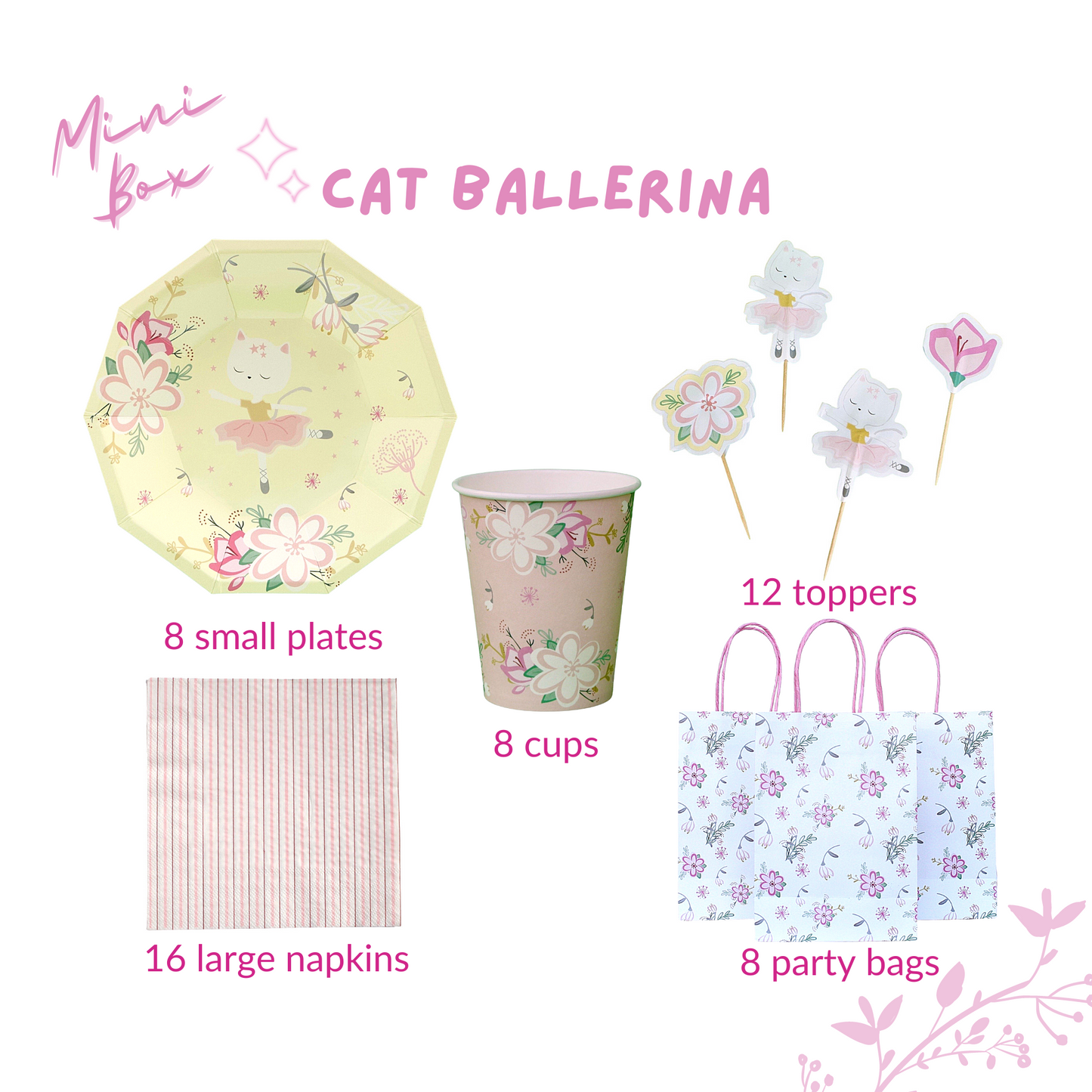 Cat Ballerina Party Supplies in a Box
