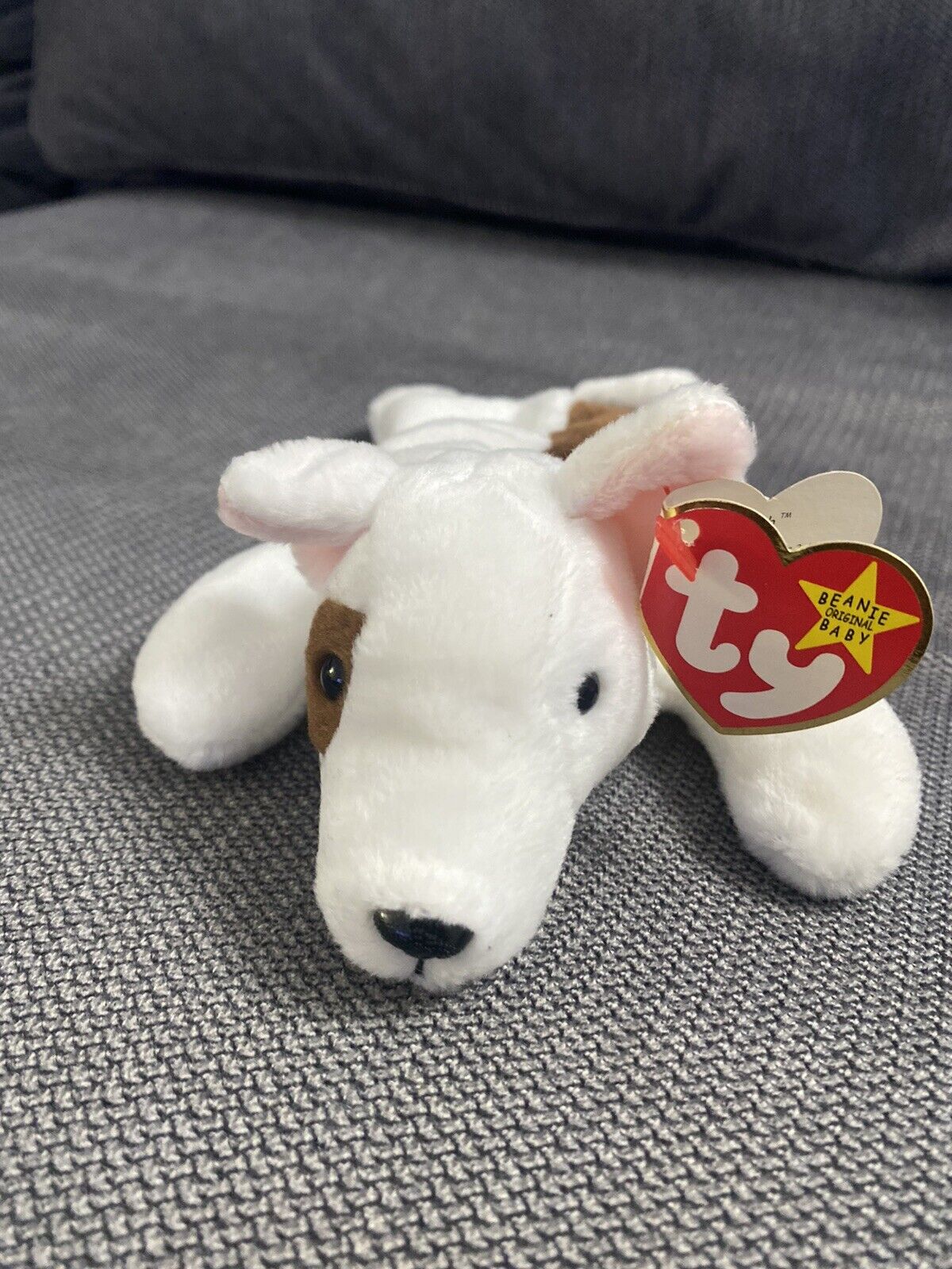 Ty Beanie Baby Retired Butch the Dog TAG ERRORS / Misspelling 1998 / 1999 RARE