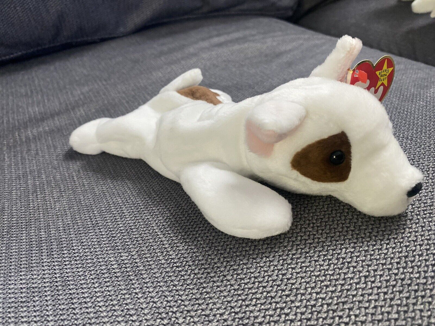 Ty Beanie Baby Retired Butch the Dog TAG ERRORS / Misspelling 1998 / 1999 RARE