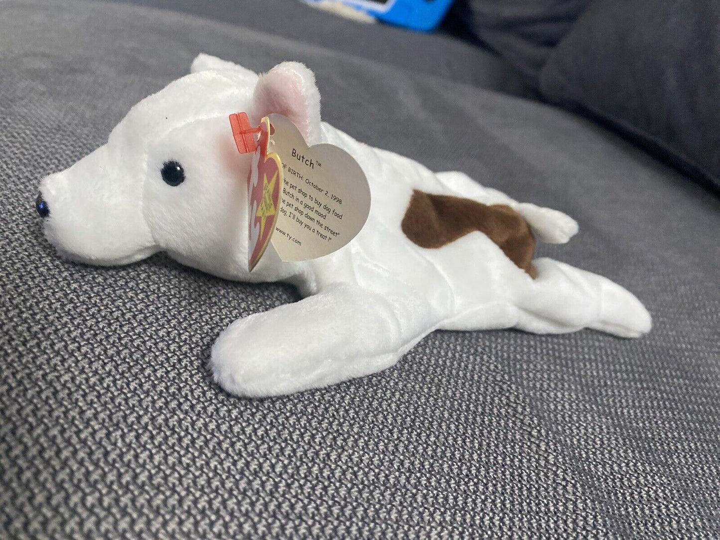 Ty Beanie Baby Retired Butch the Dog TAG ERRORS / Misspelling 1998 / 1999 RARE